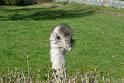 20150422_160434_Jens_Panasonic